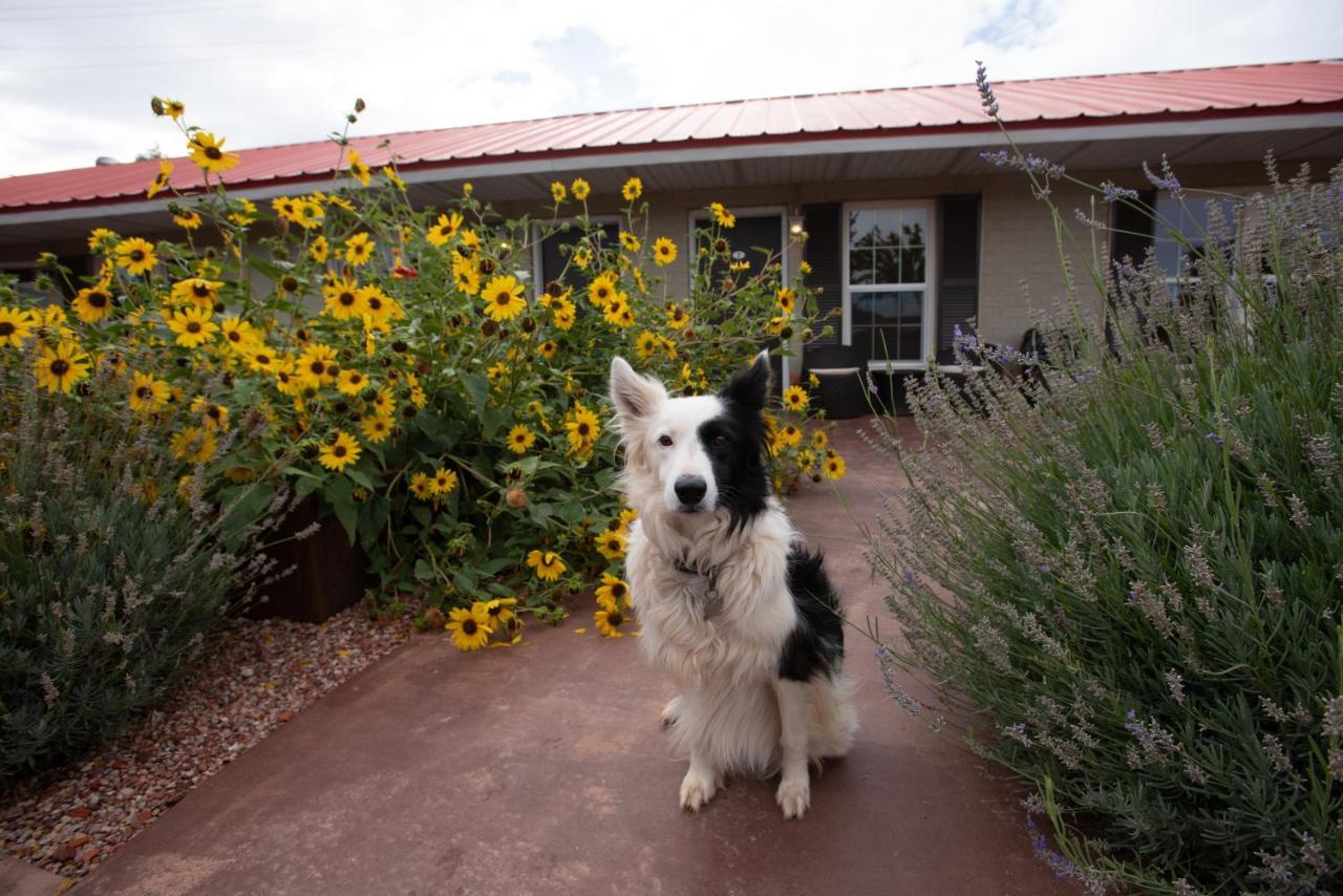The Flagstone Boutique Inn & Suites Kanab Exterior foto